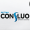 Confluo