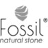 Fossil