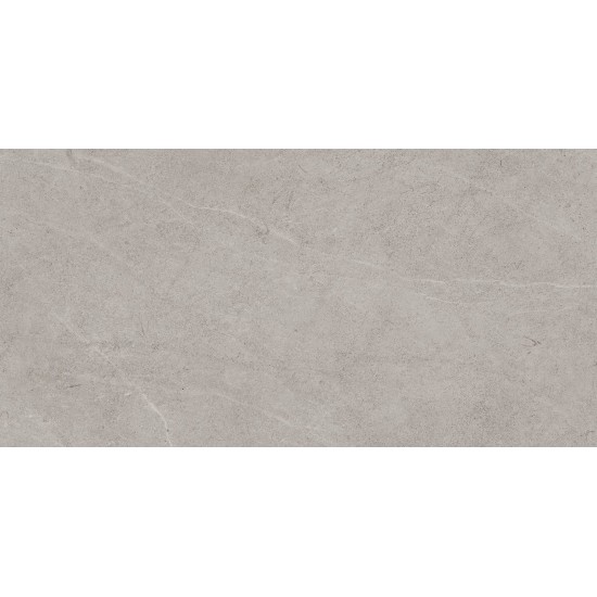 PAMESA VICTORIA SILVER 60Χ120 REC R9 Α' Ισπανίας