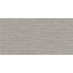 PAMESA VICTORIA RLV. SILVER 60Χ120 REC Α' Ισπανίας