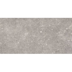 PAMESA DOVER GRIS 60Χ120 REC R9 Α' Ισπανίας