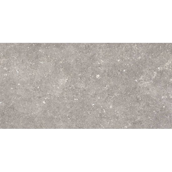 PAMESA DOVER GRIS 60Χ120 REC R9 Α' Ισπανίας