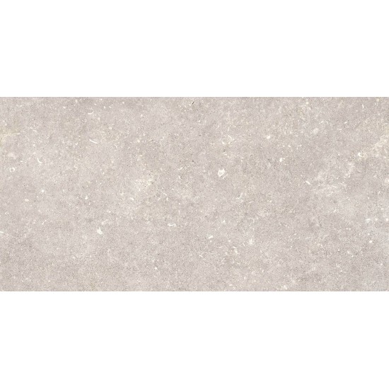 PAMESA DOVER GREIGE 60Χ120 REC R9 Α' Ισπανίας