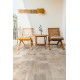 La Fenice Outside Cold Grizio 30,8x61,5