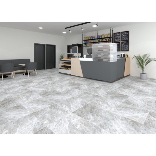 Izida Focus Light Grey 60x60cm RETT. A'