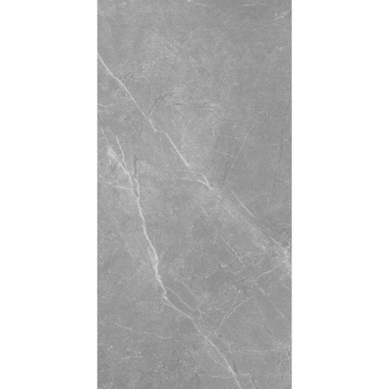 Izida Stoneland Grey 60x120cm A'