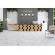 Izida Moonlight Beige 60x120cm A'