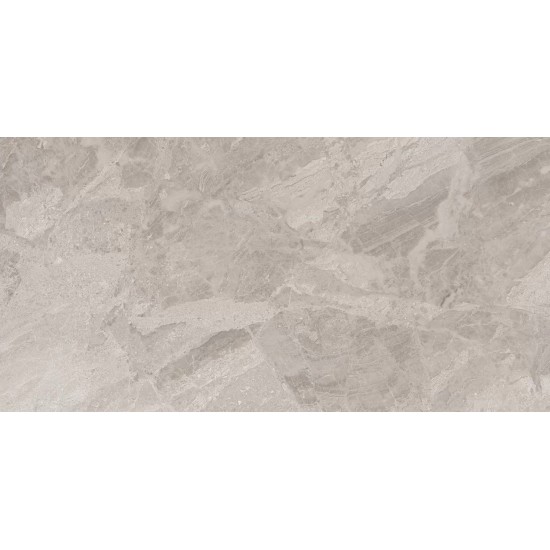 Lavish Reno Grey 60x120cm Levigato A'