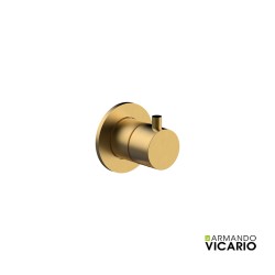 Armando Vicario Εκτροπέα Εντοιχισμού 2 ή 3 Εξόδων Brushed Gold Armando Vicario Εκτροπέα Εντοιχισμού 2 ή 3 Εξόδων Brushed Gold