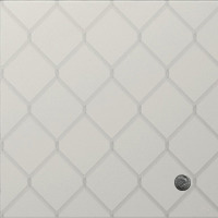 Iris Ceramica Diesel Fence White Decoro Moneta 20X20 Matt Semigres A'