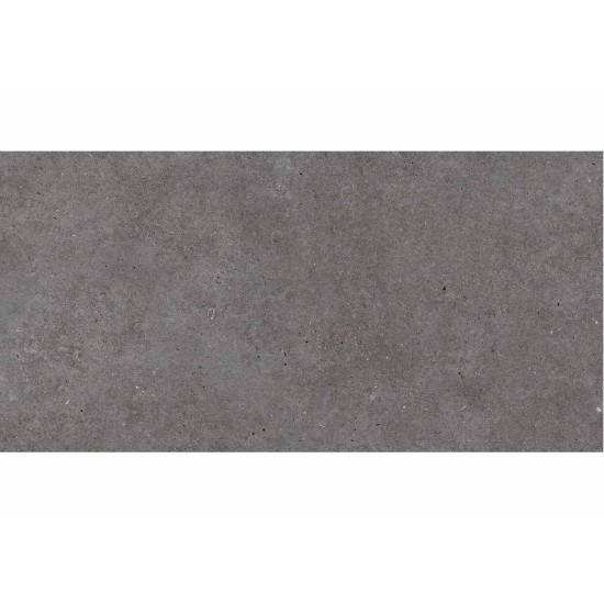 Roca Basel Grafito 60x120 A'