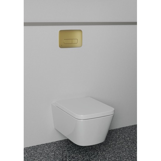 Ideal Standard Oleas M3, πλακέτα II λειτουργιών, για καζανάκι ProSys, Brushed Gold Ideal Standard Oleas M3, πλακέτα II λειτουργιών, για καζανάκι ProSys, Brushed Gold