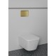 Ideal Standard Oleas M3, πλακέτα II λειτουργιών, για καζανάκι ProSys, Brushed Gold